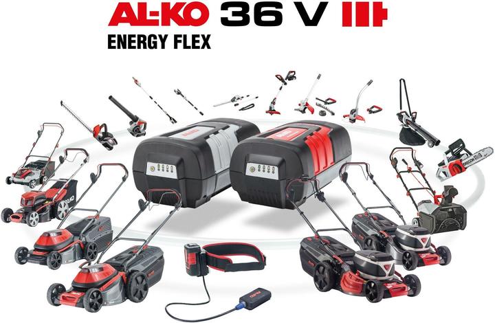 Image du produit AL-KO Chargeur ENERGY FLEX C 130, 36 V / 3.0 A (40 V)