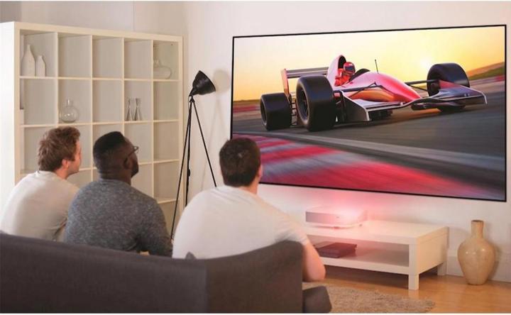 Immagine prodotto Optoma ALR101 (100", 16:9)