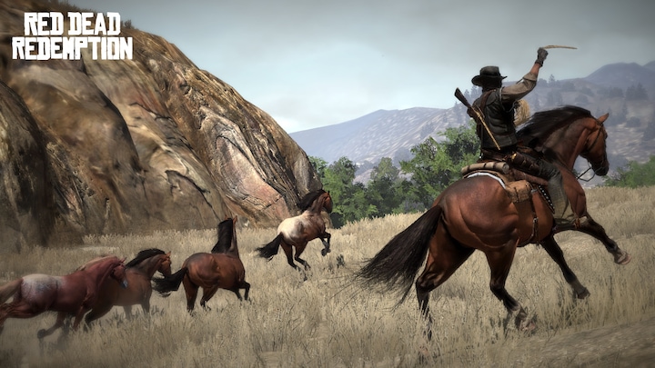 Image du produit Rockstar Jack of All Games Red Dead Redemption : Game of the Year Edition, PS3 Anglais PlayStation 3 (PS3, EN)
