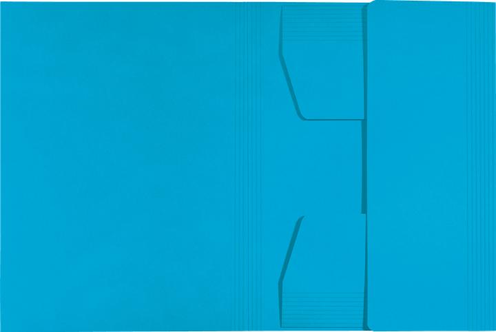 Actual product image Leitz Inlay Folder Juris Folder A4 Blue (A4, 1x)