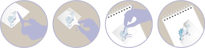 Actual product image Avenue Mandarine Decalco' Mania