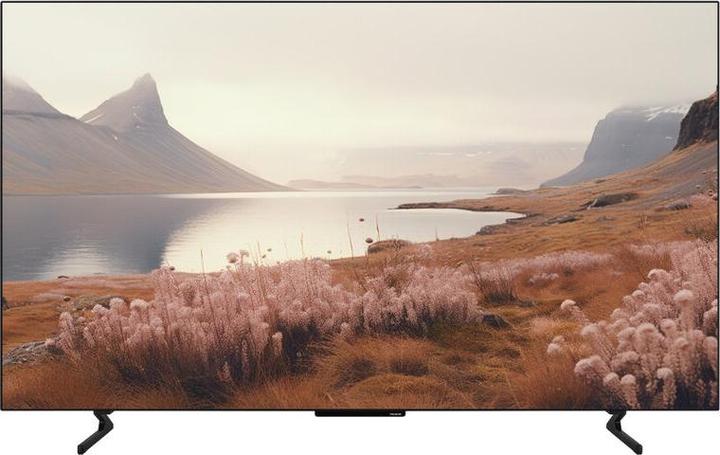 Image du produit Panasonic TB-65Z60AEG (65", OLED, 4K)
