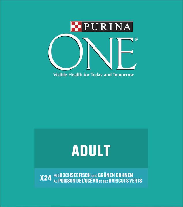 Actual product image One in sauce, deep-sea fish & green beans (Adult, 24 pcs., 2040 g)