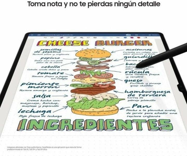 Image du produit Samsung Galaxy Tab S9 5G (5G, 11", 256 Go, Gris graphite)