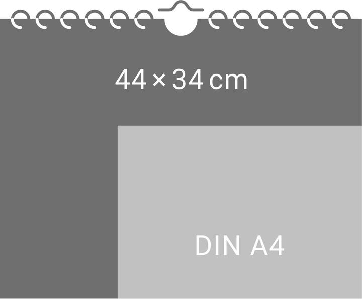 Produktbild DFB Männer Posterkalender 2026 (44 x 34 cm, Deutsch)