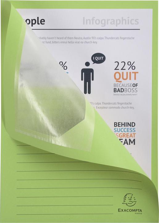 Actual product image Exacompta Window folder FOREVER® (A4, 100 x)