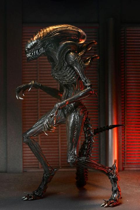 Actual product image Neca Alien: Romulus Ultimate Scorched Xenomorph