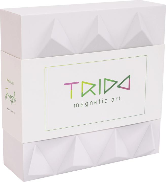 Image du produit Hape Trido Jungle petit 12pcs