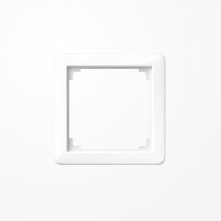 Actual product image JUNG Intermediate frame