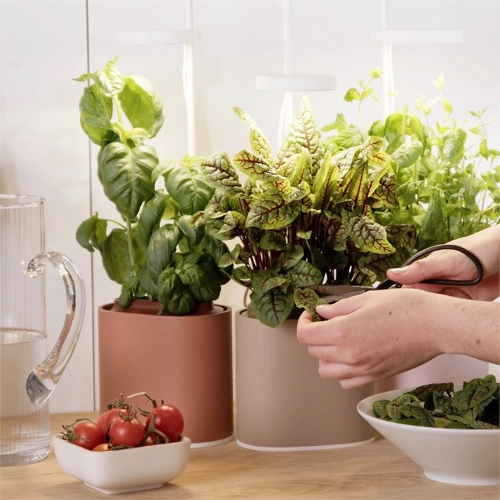 Produktbild Prêt à Pousser Kräutertopf Nano (13.50 cm)