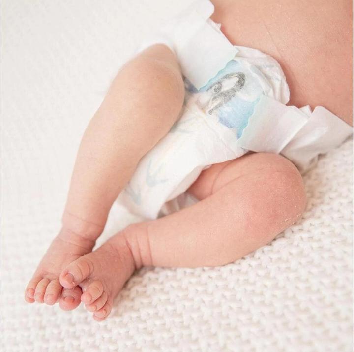 Produktbild Pingo Ökowindeln (Gr. 2, Monatsbox, 252 Stk.)