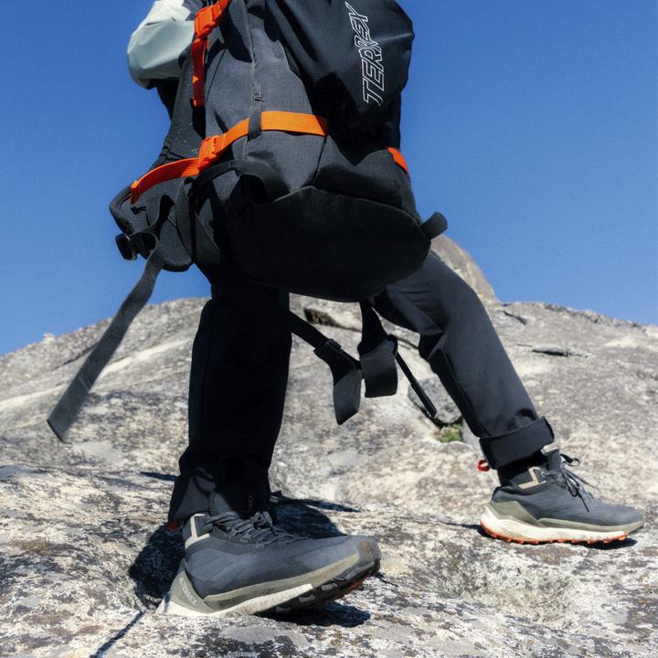 Image du produit adidas Terrex Free Hiker 2 GTX (41)
