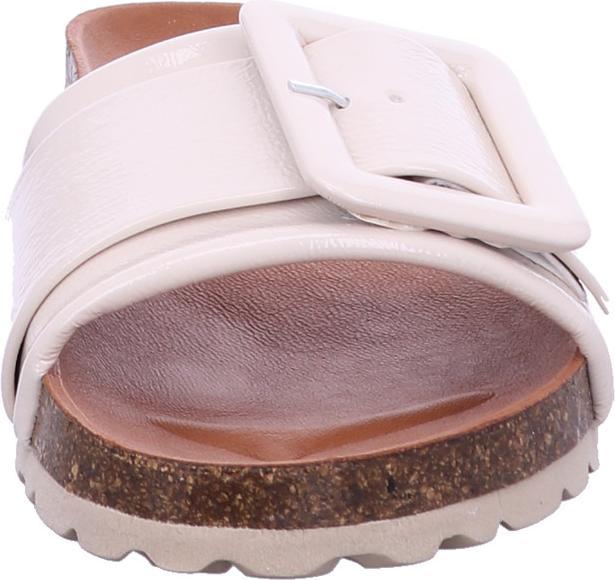 Immagine prodotto Verbenas Reiko (41)