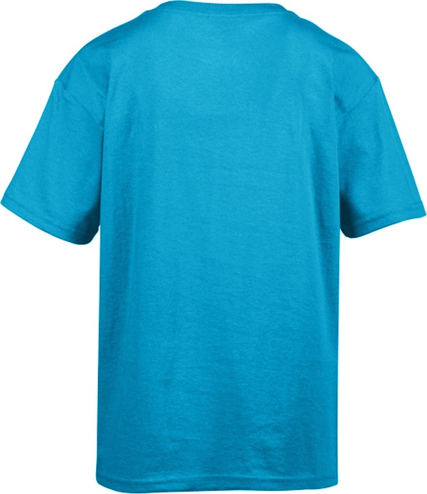 Actual product image Gildan Mens Softstyle T-Shirt (3XL)