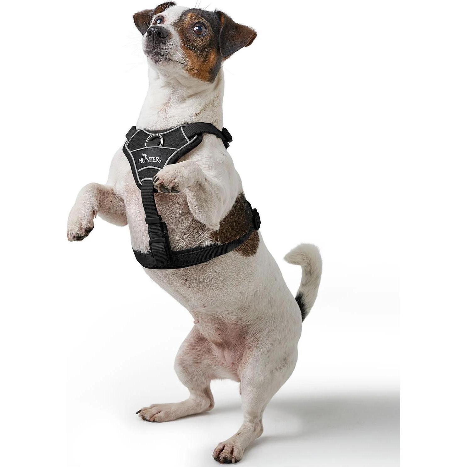 Harnais pour Chien Hunter DIVO UP Noir M