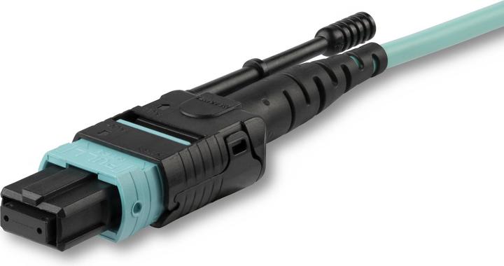 Produktbild StarTech MPO12PL10M (10 m)