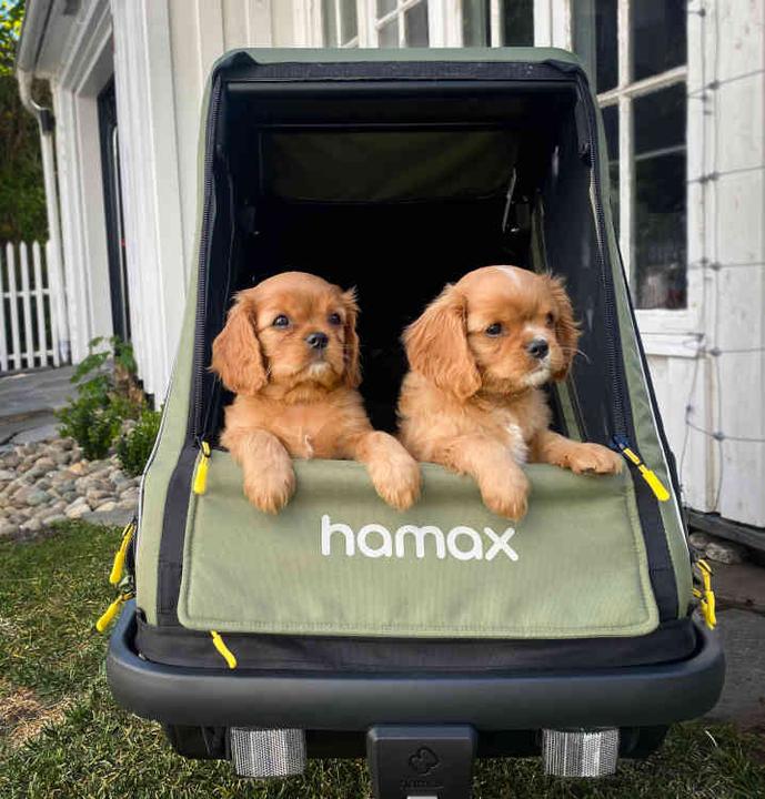 Image du produit hamax Pluto