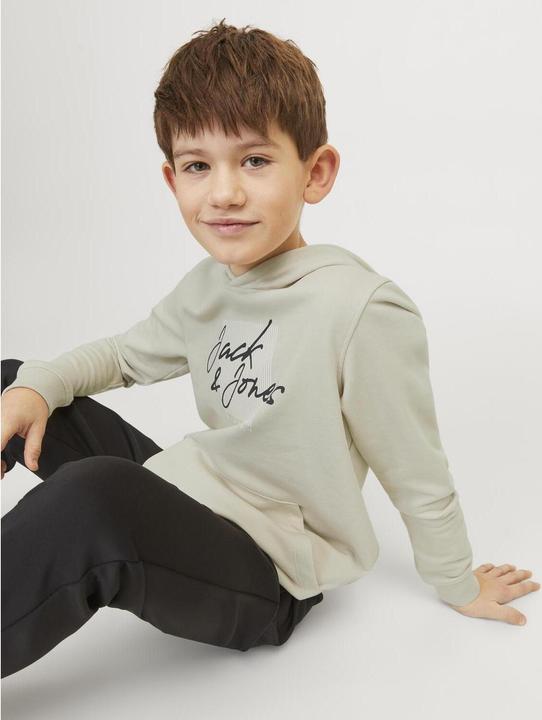 Produktbild Jack & Jones Jjzuri Sweat Hood Jnr (128)