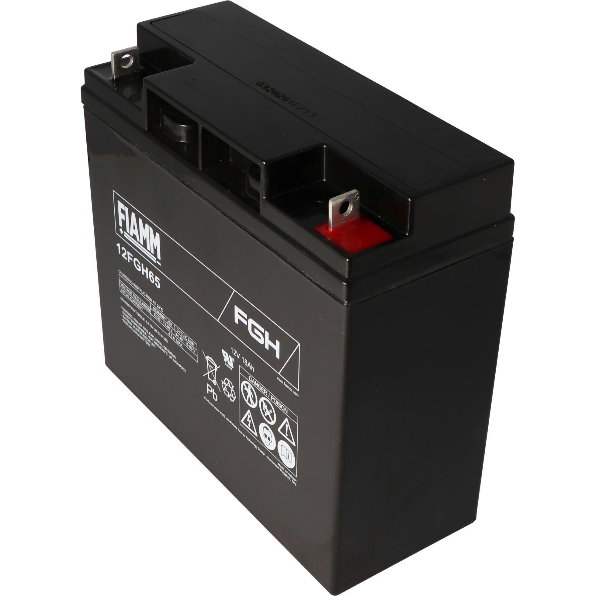 Fiamm, Fahrzeugbatterie, FGH21803 Akku Blei PB 12Volt 18Ah z.B. BMW Starterbatterie 12FGH65 181x76x167mm (12 V, 18 Ah)