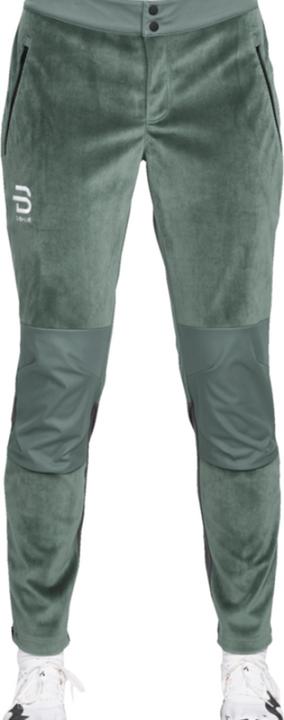 Actual product image Daehlie W Pants Boulder (XS)