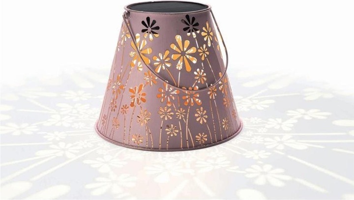 Image du produit STT Daisy