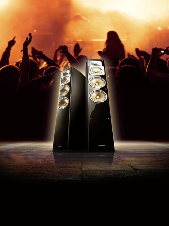 Actual product image Yamaha Ns-F350 (1 pcs., 200 W)