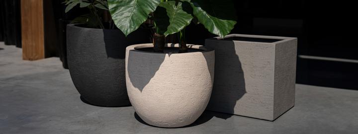 Produktbild Jaco Lite Terra Austin (45 x 38 cm)