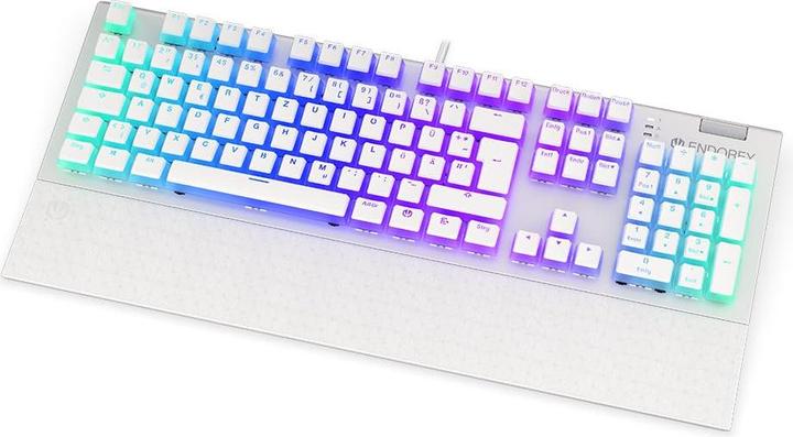 Actual product image Endorfy Keyboard Omnis (DE)