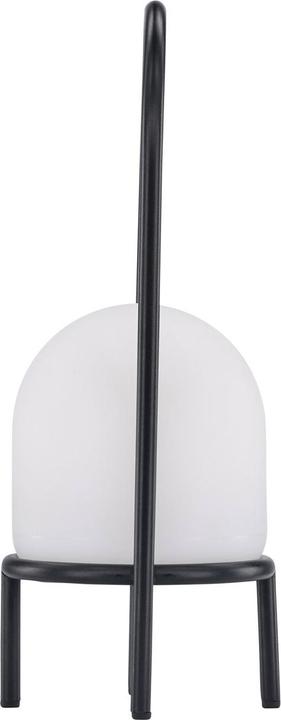 Image du produit Venture Home Colie (300 lm)