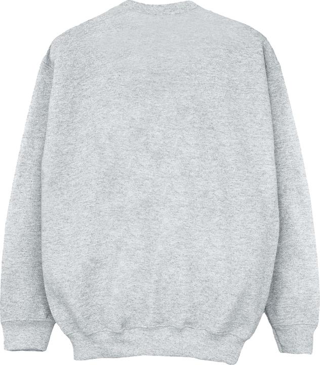 Produktbild Sweatshirt Jungen (140, 146)