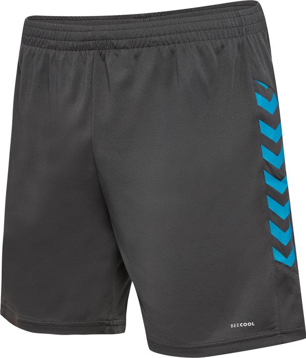 Image du produit hummel hmlSTALTIC POLY SHORTS (L)