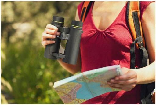 Produktbild Vanguard Endeavor ED II 8x42 (8x, 42 mm)