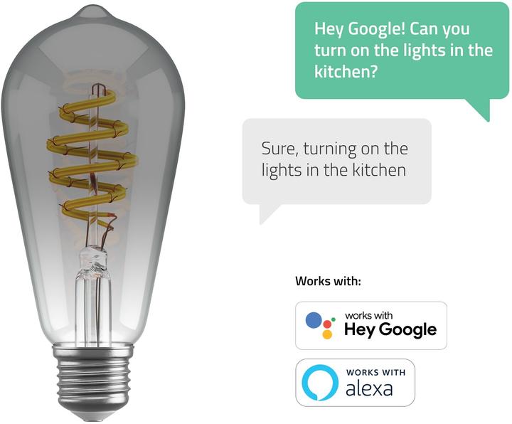 Energy Label Hombli Filament Bulb CCT E27 ST64 (E27, 5.50 W, 180 lm, 1 x, G)