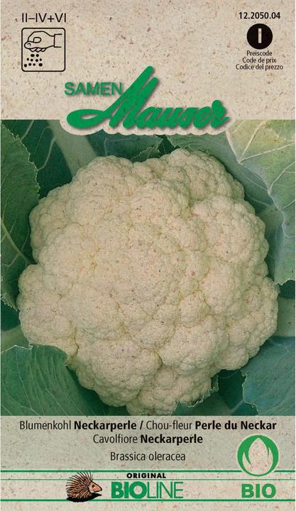 Produktbild Samen Mauser Neckarperle (Gemüsesamen)