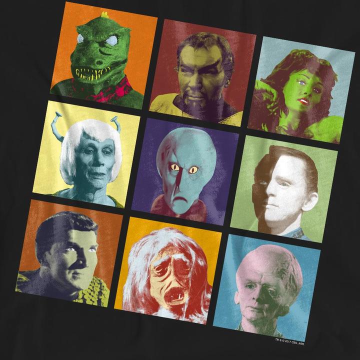 Produktbild TShirt (L)