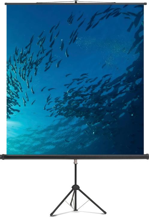 Produktbild Magnetoplan Stativleinwand Professional 6100112 150x150cm weiss