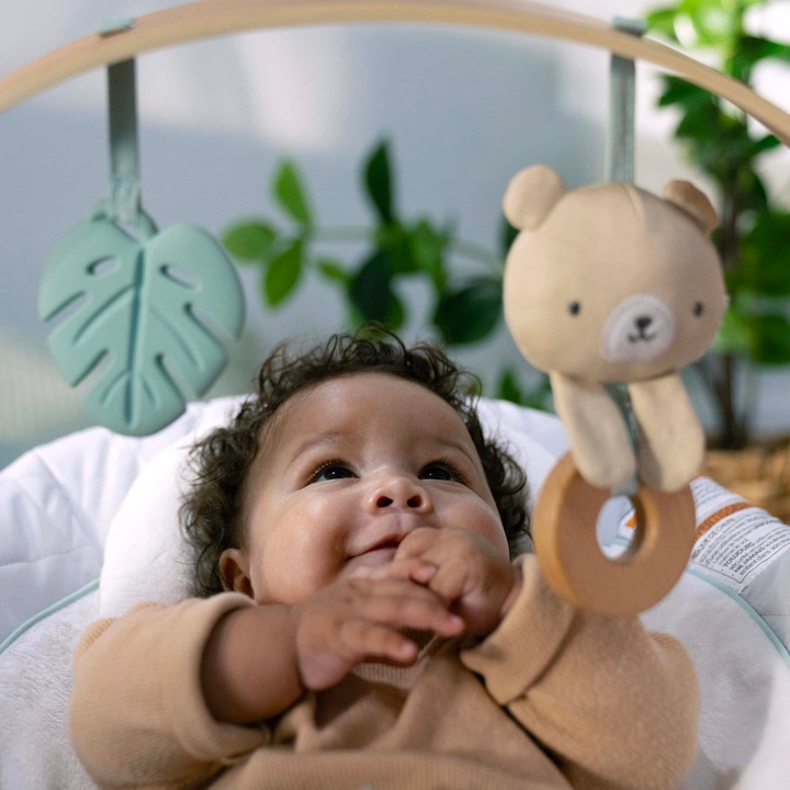 Actual product image Ingenuity Cozy Spot Bouncer with Wood Toy Bar