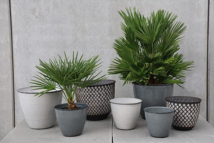 Produktbild Jaco Steel Mumbai (37 x 30 cm)