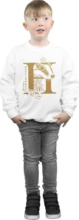 Produktbild Hufflepuff Glitter Sweatshirt Jungen (116)