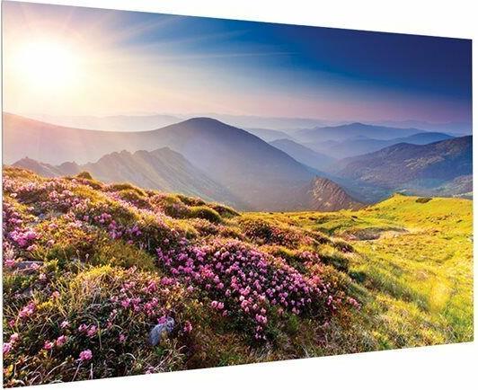 Actual product image Projecta FullVision - Manual - 2.59 m (102 inches) - 2.2 m - 138 cm - 16:10 - HD Progressive (102", 16:10)