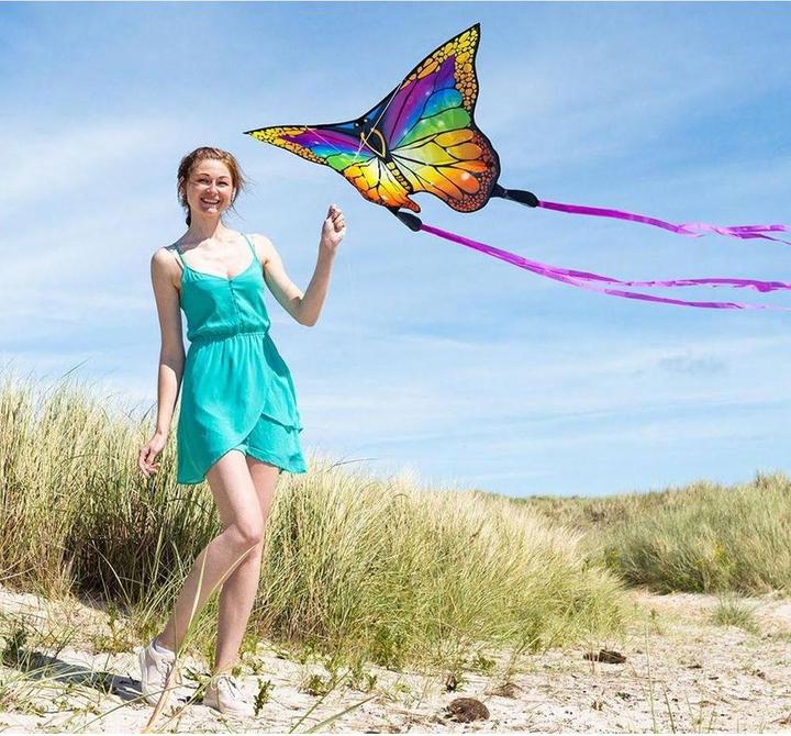 Produktbild Invento Butterfly Rainbow