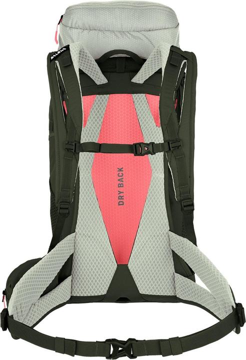 Image du produit Salewa Sac à dos Alp Trainer +L (35 l)