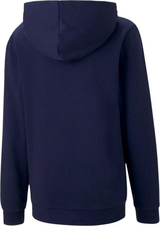 Produktbild Puma TeamGoal 23 Kapuzenpullover Leger (146, 152)