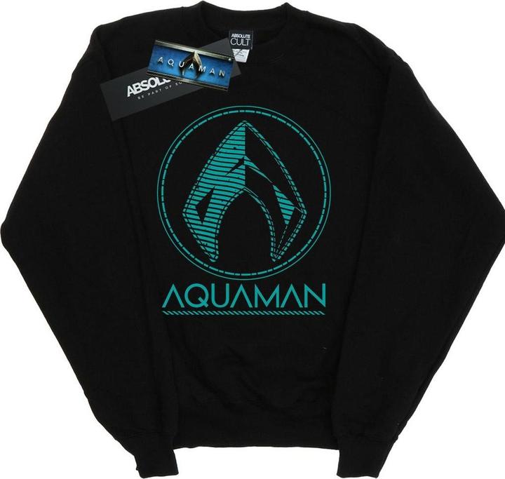 Produktbild Jungen Aquaman Aqua Logo Sweatshirt (152, 158)