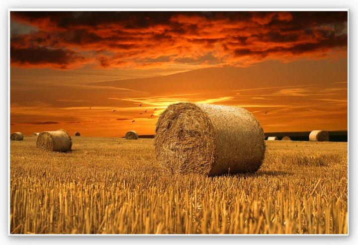 Image du produit Trenddeko balle de paille (100 x 70 cm)