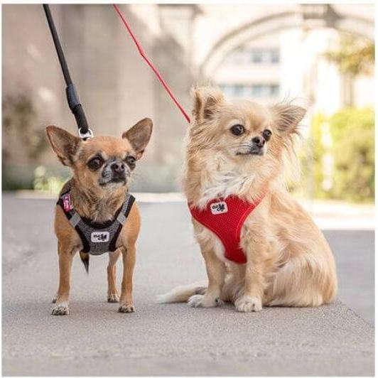 Thumbnail - Curli Vest sele Clasp Merino Red L (L, Hund, Spazieren), Halsband + Leine