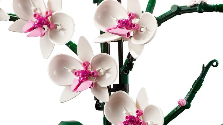 Immagine prodotto LEGO Orchidea (10311, LEGO Botanical)