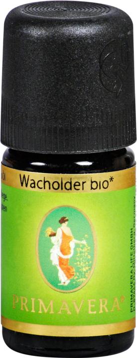 Primavera Wacholder* bio