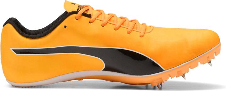 Actual product image Puma evoSPEED Sprint 14.5 (41)