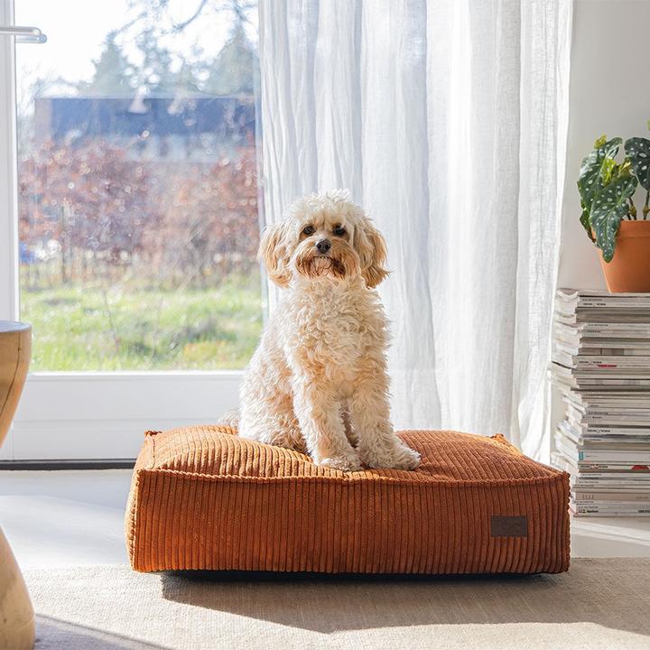 Produktbild Designed by Lotte Liegekissen Ribbed (Hund)